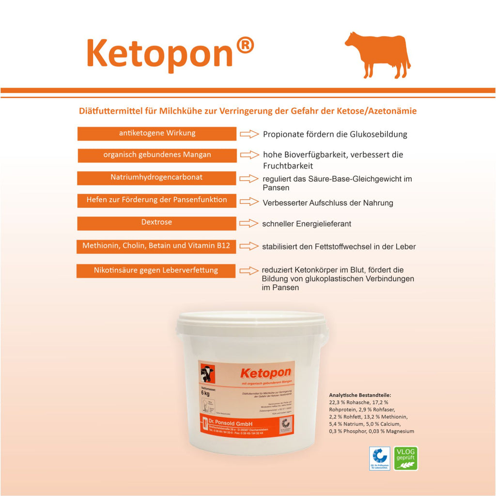 Diätfuttermittel für Milchkühe – reduziert das Risiko von Ketose und unterstützt Stoffwechselgesundheit.