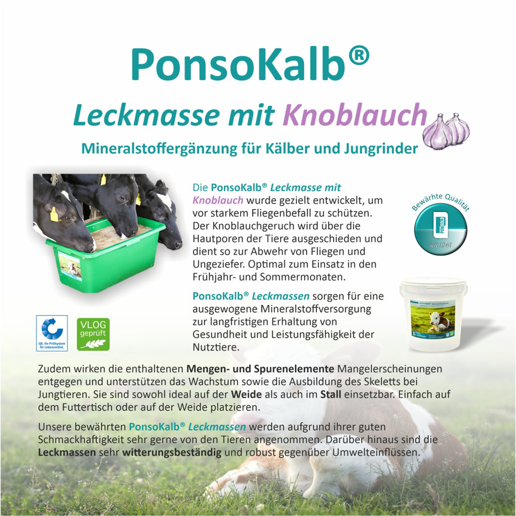 Leckmasse mit Knoblauch für Kälber und Jungrinder zur Förderung der Gesundheit und Unterstützung des Immunsystems