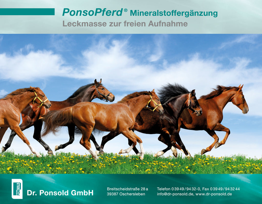 Ponsopferd Leckmasse – Mineralfuttermittel für Pferde, unterstützt Gesundheit, Leistung und Vitalität.