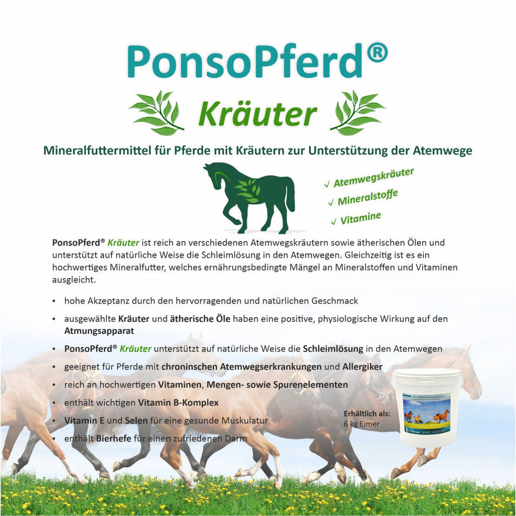Mineralfutter für Pferde mit Kräutern zur Unterstützung der Gesundheit, Vitalität und einer ausgewogenen Nährstoffversorgung