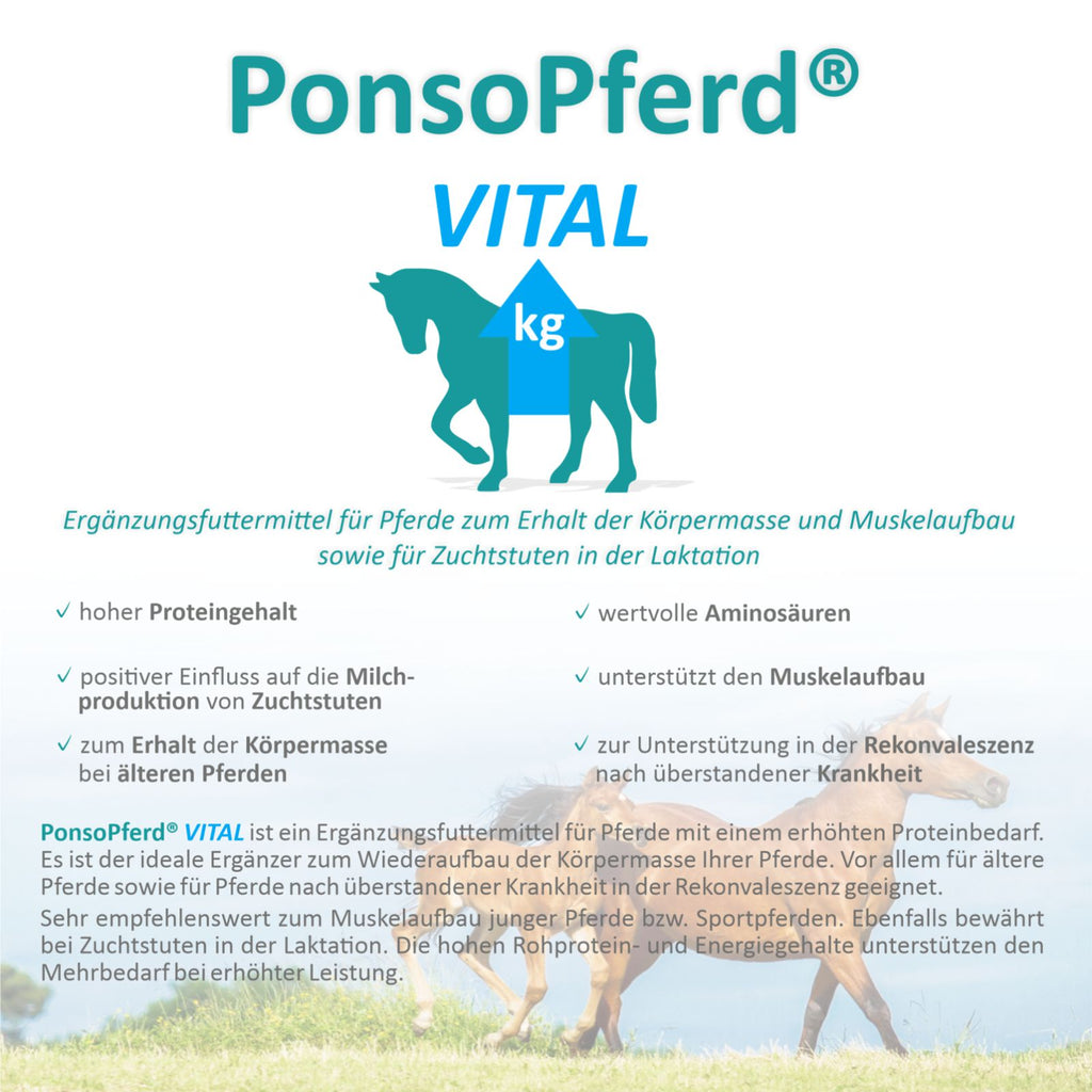 Vital – Ergänzungsfuttermittel für Pferde, fördert Muskelaufbau und Leistungsfähigkeit.