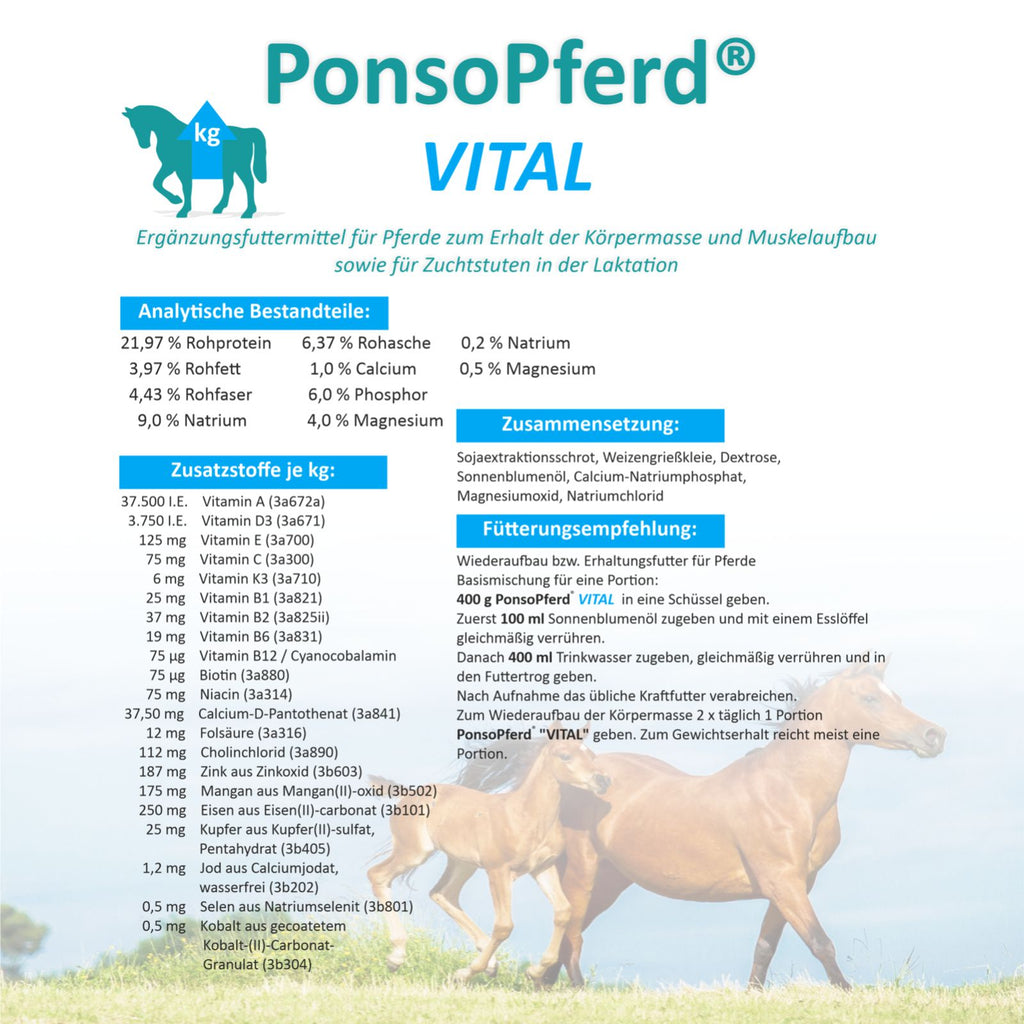 Vital – Ergänzungsfuttermittel für Pferde, fördert Muskelaufbau und Leistungsfähigkeit.