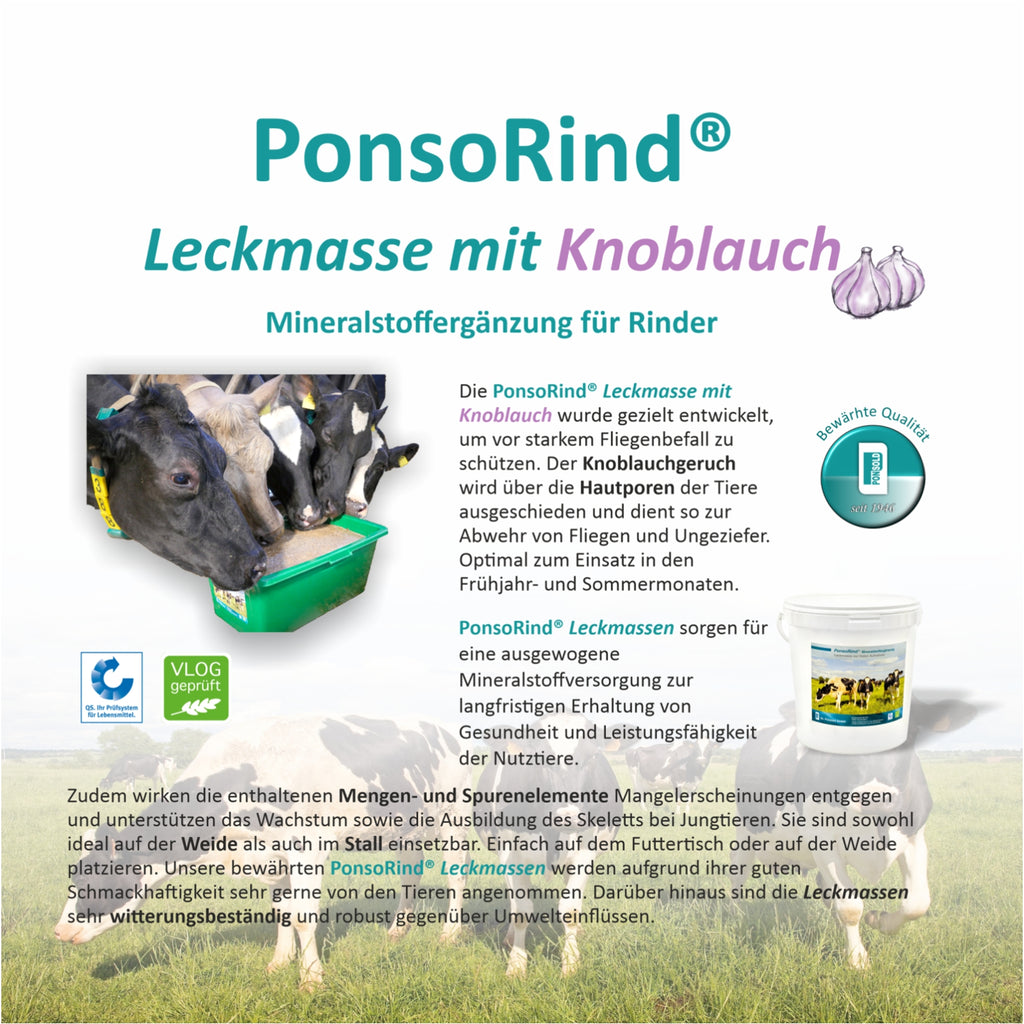 Leckmassen für Rinder zur Förderung der Mineralversorgung und Unterstützung der allgemeinen Gesundheit und Vitalität