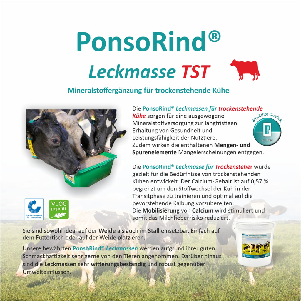 Leckmasse für Trockensteher zur Unterstützung der Gesundheit und Mineralversorgung in der Übergangszeit vor der Laktation