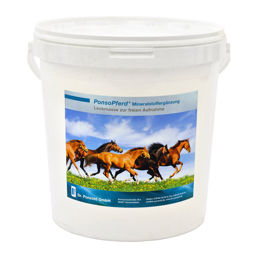 Ponsopferd Leckmasse – Mineralfuttermittel für Pferde, unterstützt Gesundheit, Leistung und Vitalität.